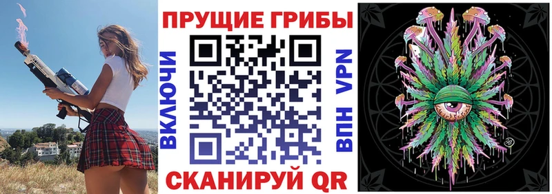 Псилоцибиновые грибы прущие грибы  Купить  Десногорск 